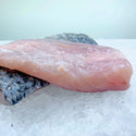 Seabass (Siakap, 金目鲈) Fresh - Fillet - GoodFishCo.my Seafood Delivery Klang Valley | Fish