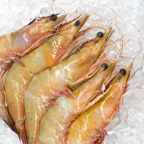 Big Prawn (海明虾) Frozen (500g) - 8-10 pcs - GoodFishCo.my Seafood Delivery Klang Valley | Frozen, Prawn, Shellfish