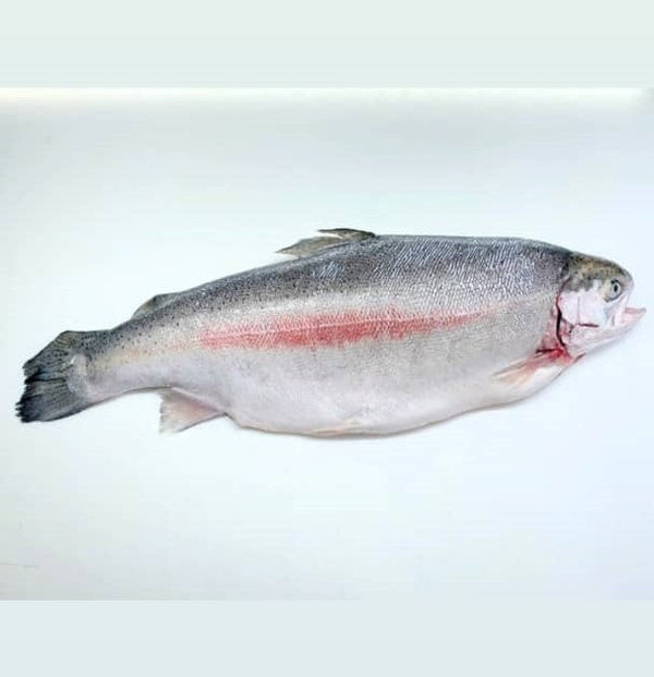 Chilled Air Flown Salmon Fillet (Sashimi grade)
